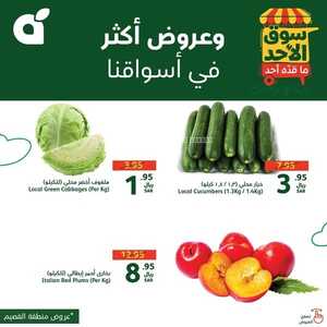 عروض بنده كذلك عروض