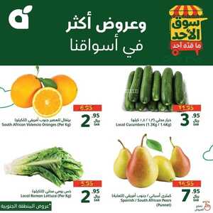 عروض بنده كذلك عروض