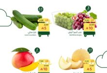 عروض بنده اليوم